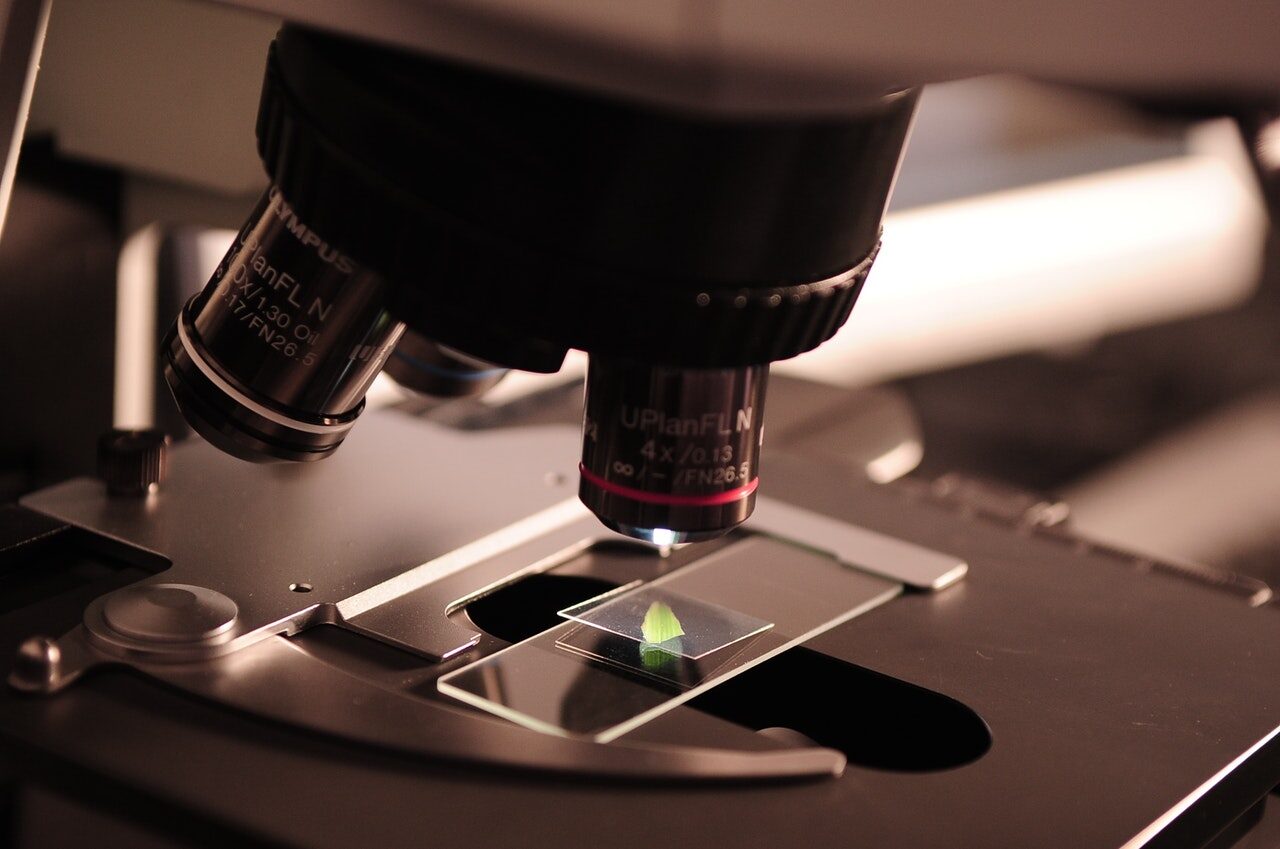Traduzioni life science