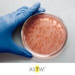 I termini e gli acronimi delle life science: le biotecnologie