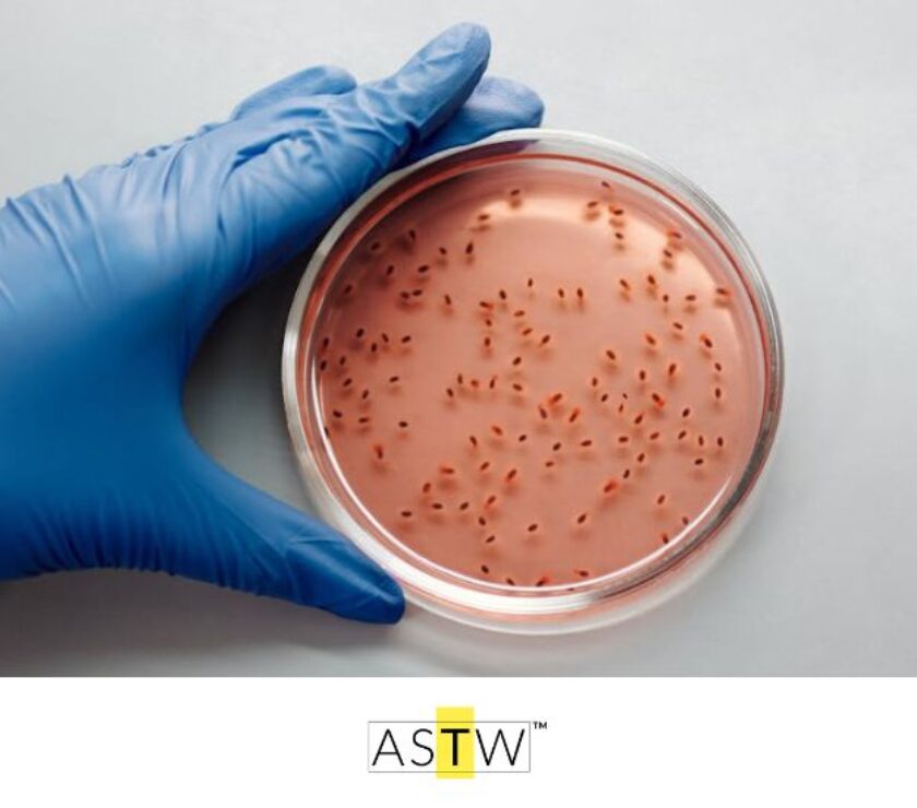 I termini e gli acronimi delle biotecnologie